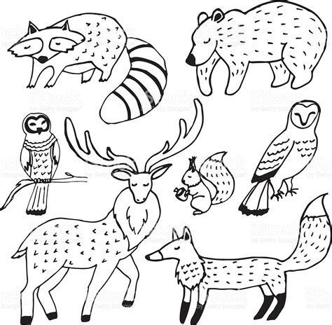 Easy Drawing Of Forest With Animals Drawing Easy Rainforest Forest