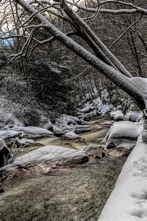 Flowing Stream In Winter Through Snow Covered Woods 1 Photograph By Dan