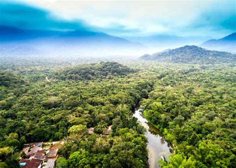 16 Largest Rainforests In The World Travelers Guide Storyteller Travel