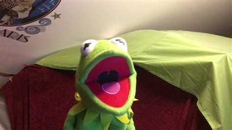 Kermit The Frog Sings Dream Lover Youtube