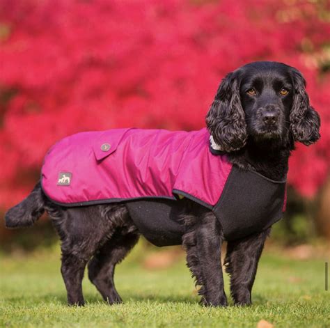 Waterproof Underbelly Dog Coat By Country And Twee