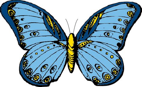 Large Blue Butterfly Clip Art At Vector Clip