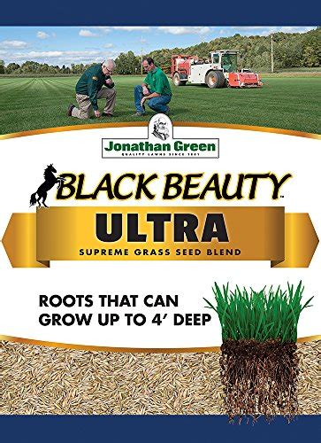 Grass Seed The Perfect Lawn Its All In The Seeds Jonathan Green Black Beauty Ultra Grass Seed
