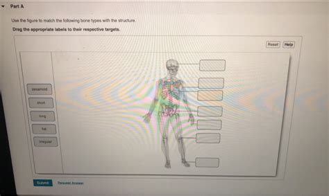 The structure of bone tissue suits the function. Solved: - Part A Use The Figure To Match The Following Bon... | Chegg.com
