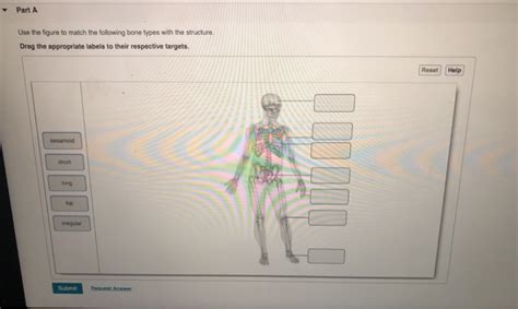 Gratis online quiz identify the structures of a bone. Solved: - Part A Use The Figure To Match The Following Bon... | Chegg.com