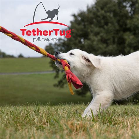 Tether Tug V2 Outdoor Dog Interactive Toy Tugging Pull Exercise 5 70