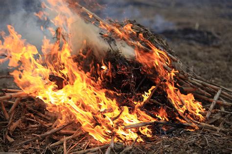 Rather than bagging them for it is never a good idea to burn plants. Burning Yard Waste and Your Asthma - Breathe PA