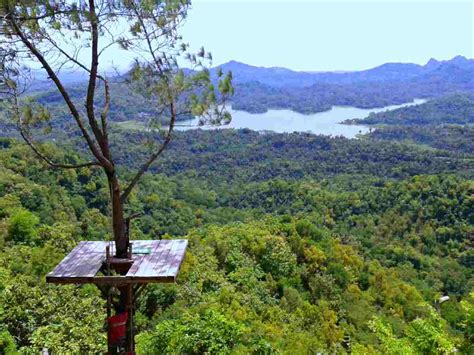If you'd rather hike, you should definitely head to the penang forest reserve, 15 min away from. Kalibiru National Park, Activities & Entrance Fee - IdeTrips