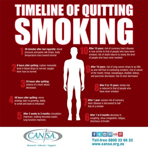 cansa on twitter do you know what happens to your body when you quit smoking