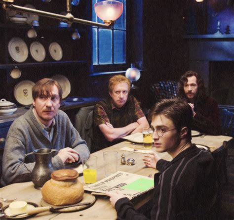 When preening, birds nibble and stroke their feathers, returning them to correct position. knockturnallley:" Harry Potter and the Order of the ...