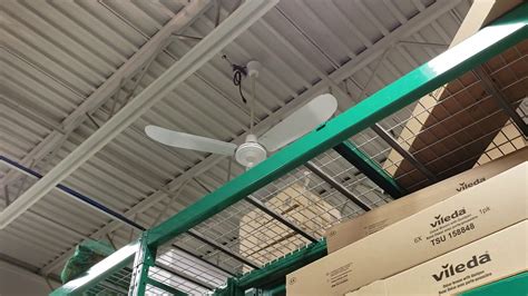 Shop ceiling fans at acehardware.com and get free store pickup at your neighborhood ace. Ceiling Fan Display & Canarm CP56 & 56" Banvil/Envirofan ...