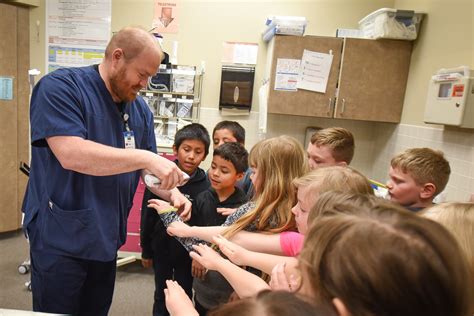 Schooling At Sanford Second Graders Learn Health At Sanford Hospital