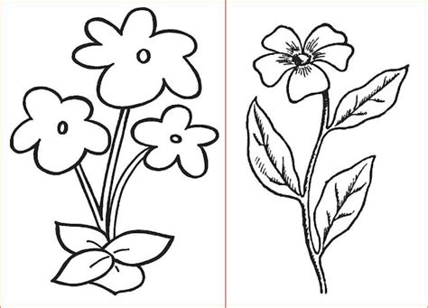 Beginilah Contoh Gambar Sketsa Bunga Sederhana Yang Banyak Dicari