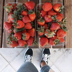 39 Strawberry Picking at Beerenberg ideas | strawberry picking, better ...