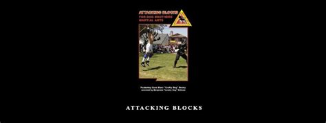 Dog Brothers Attacking Blocks What Study