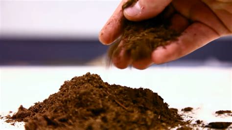 How To Use Peat Moss On The Green Farms