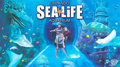 Sea Life Aquarium Orlando 30 Discount Tickets