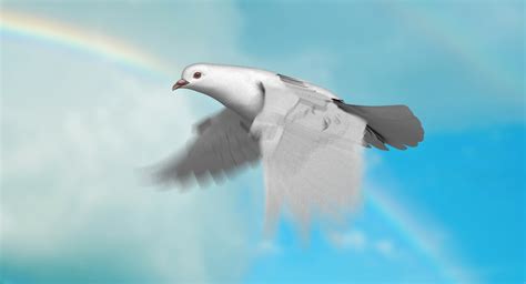 White Dove Animation 3d Turbosquid 1298649