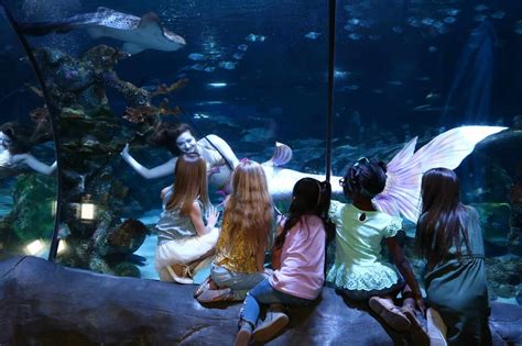 Mermaids In Orlando Zannaland