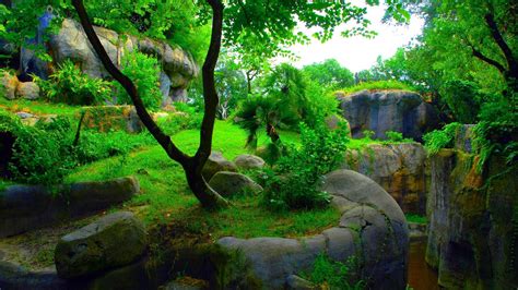 Explore and download tons of high quality 3d wallpapers all for free! Full HD 3D Wallpapers 1920x1080 - Wallpaper Cave