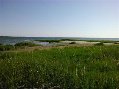 Adventures In Time Monomoy National Wildlife Refuge Chatham Ma July