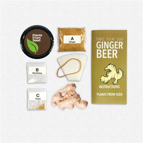 Make Your Own Ginger Beer With Cinnamon Brewing Jar Kit By