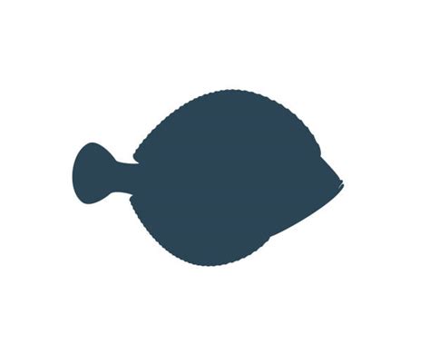 Flounder Pic Silhouette Illustrations Royalty Free Vector Graphics