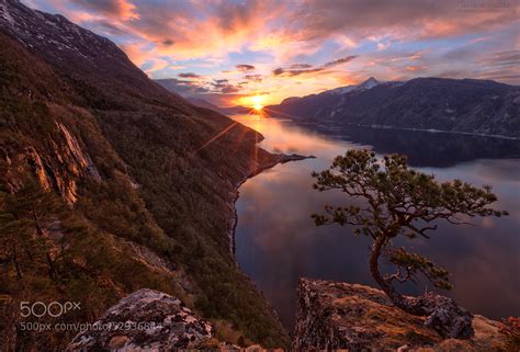 Interesting Photo Of The Day Lone Pine Tree On Cliff In