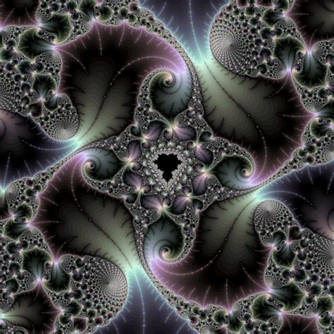 Fractal Pattern 2 Free Stock Photo Public Domain Pictures
