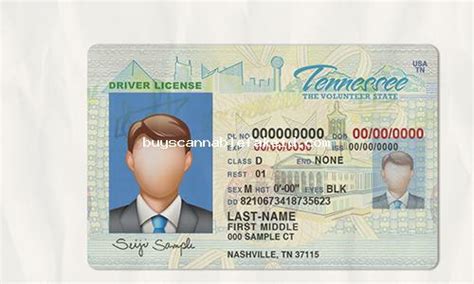 Tennessee Drivers License Fake Scannable Buy Fake Id Best Fake