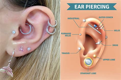What Is A Helix Piercing Here S Your Ultimate Guide Let S Eat Cake