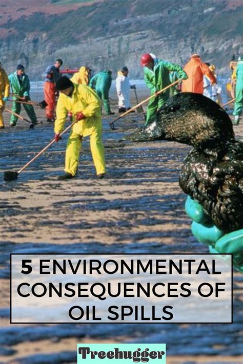 Major Oil Spills Can Damage The Environment In 5 Areas Oil Spill