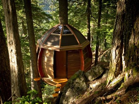 A Tree House Built In The Woods On Top Of A Rock And Surrounded By Trees
