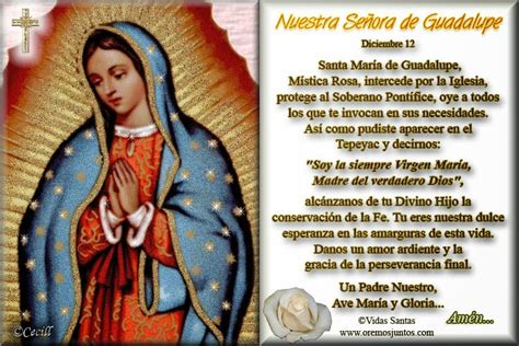 Virgen De Guadalupe 2018 Frases E Imágenes Para Compartir