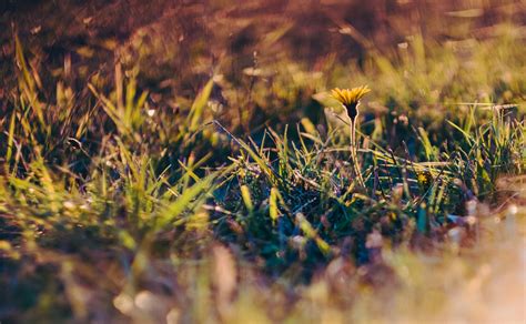 See more of blue planet lawn care on facebook. 5 Fall Lawn Care Tips for Homeowners in Los Angeles, CA ...