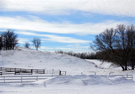 Peaceful Snow Scene Stock Photo Image Of Wintry January 3972988