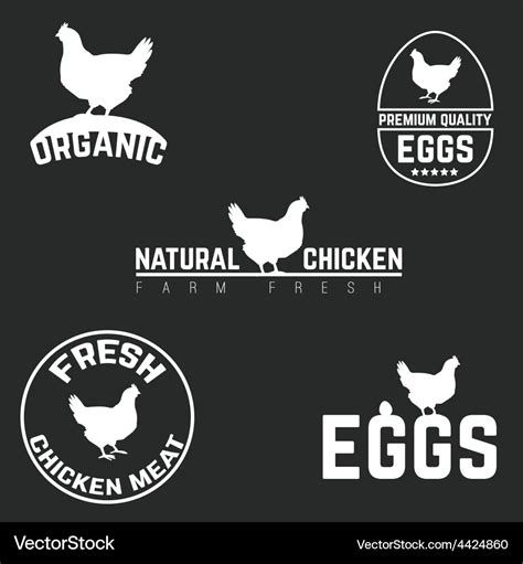 Set Chicken And Eggs Logo Emblem Natural Fresh Vector Image