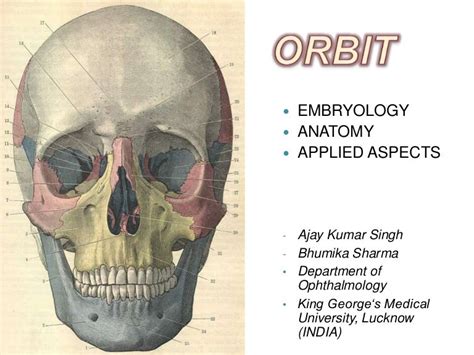 Orbit