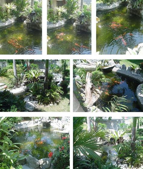 Pentair koi pond filters for 1500 gallon ponds. XiGEGA's Koi Pond - Featured Koi Ponds in www.KoiandPonds.com