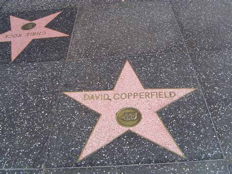 Hollywood Walk of Fame | Hollywood walk of fame star, Hollywood walk of fame, Walk of fame