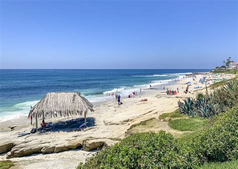 Windansea Beach Guide Surfing Parking Directions More La Jolla Mom