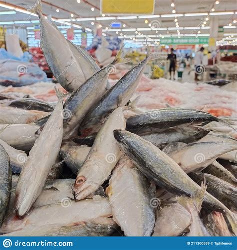 Fresh Frozen Fish Stock Image Image Of Food Fish Frozen 211300589