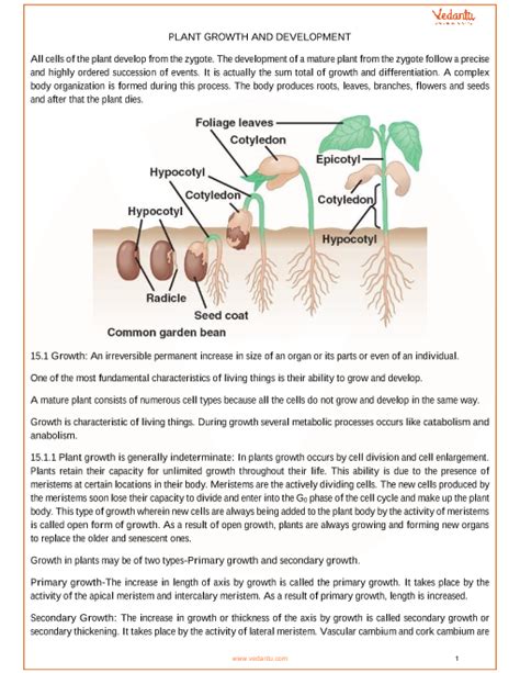 Cbse Class 11 Biology Chapter 15 Plant Growth And Development