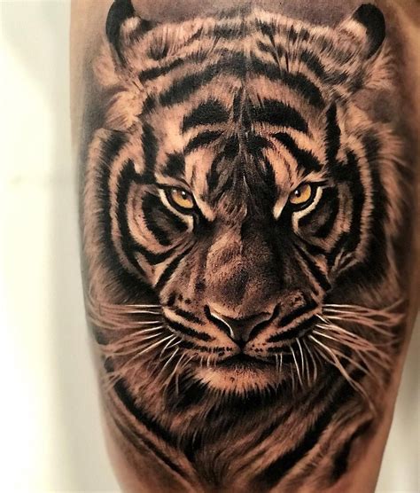 Tatuajes De Tigres Realistas Kulturaupice