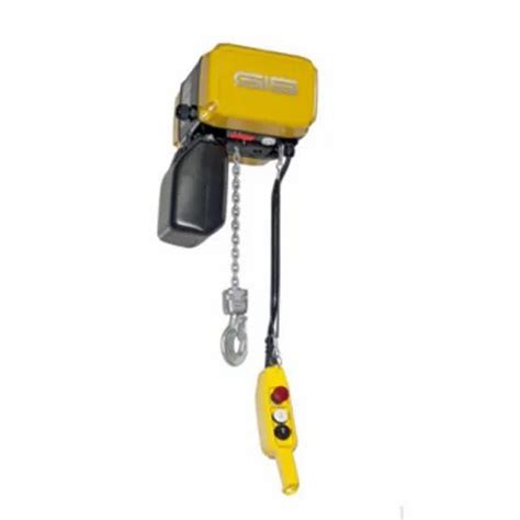 Electric Chain Hoist Gch At Best Price In New Delhi By Hetronic Systems