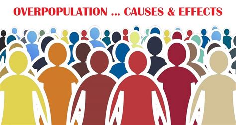 what is overpopulation causes effects and methods to control overpopulation natural energy hub