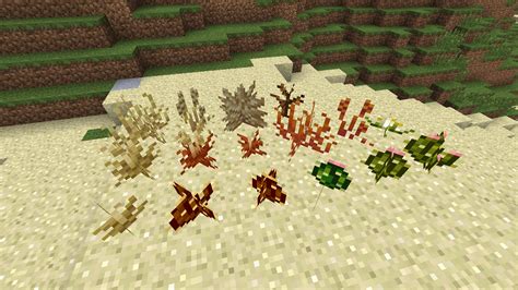 Cactussen of cactus) is een plant dat van nature verschijnt in droge gebieden. DesertCraft | Minecraft Mods