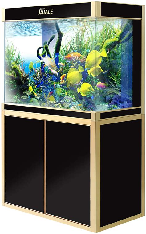 100 Gallon Fish Tanks Options And Reviews 2023 A Little Bit Fishy
