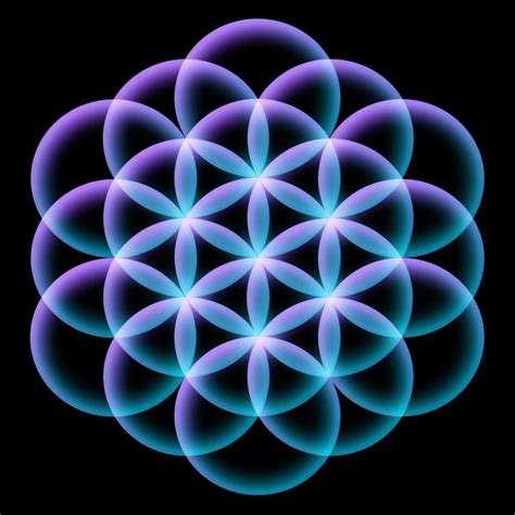 Flower Of Life Wallpapers On Wallpaperdog