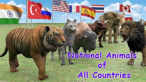 National Animals Of Countries Flags And Countries Name With National A In 2020 National